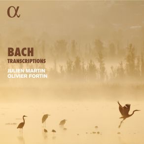Bach Transcriptions album cover