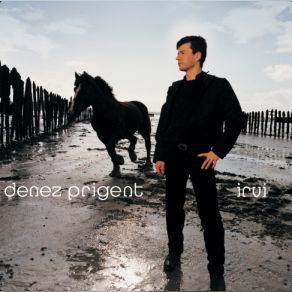 Irvi album cover