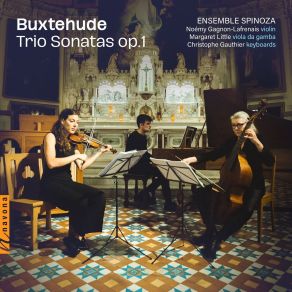 Ensemble Spinoza - Buxtehude - Trio Sonatas, Op. 1 album cover