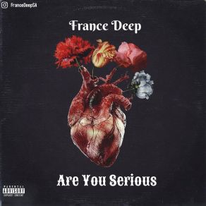 Are You Serious album cover