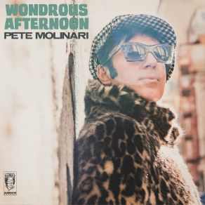 Wondrous Afternoon album cover