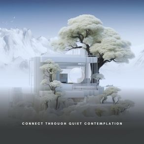 Connect Through Quiet Contemplation album cover