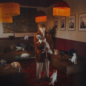 Mój Kot Zaginął I Już Raczej Nie Wróci album cover