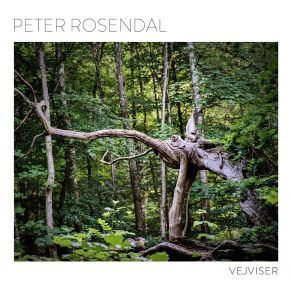 Vejviser album cover