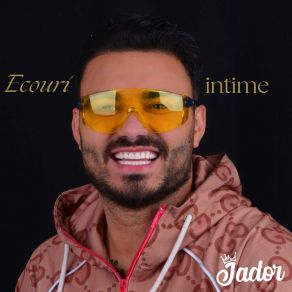 Ecouri Intime album cover
