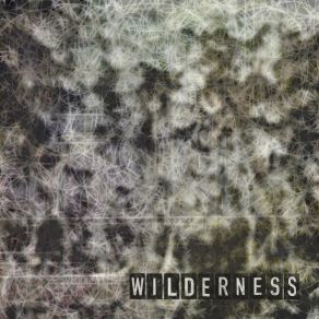Wilderness album cover