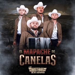 El Mapache De Canelas album cover