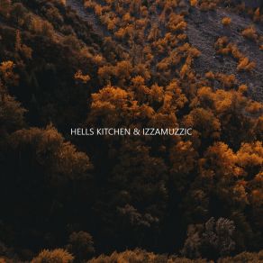 Deja Vu album cover