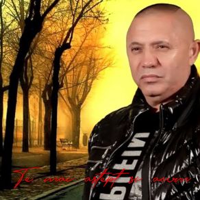 Te Mai Astept Si Acum album cover