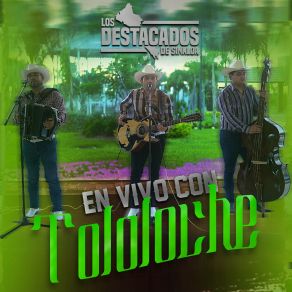En Vivo Con Tololoche album cover