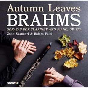 Zsolt Szatmari - Autumn Leaves album cover