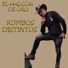 RUMBOS DISTINTOS album cover