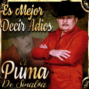 Es Mejor Decir Adios album cover
