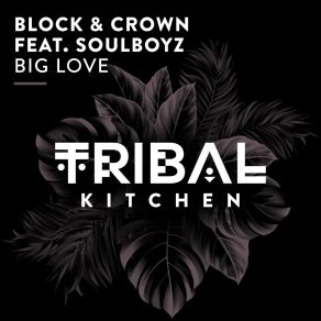 Big Love album cover