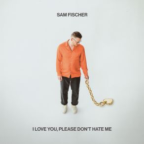 I Love You, Please Don't Hate Me album cover