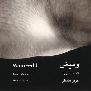 Wameedd album cover
