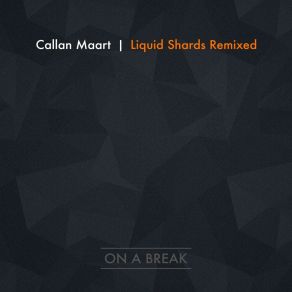 Liquid Shards Remix album cover
