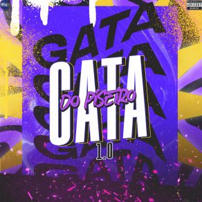 Gata Do Piseiro 1.0 album cover