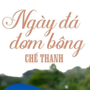 Ngày Đá Đơm Bông album cover