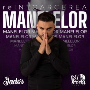 ReINTOARCEREA Manelelor album cover