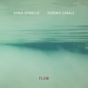 Flow album cover
