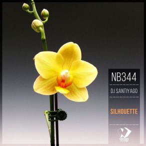 Silhouette (Original Mix) album cover