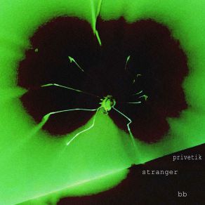 Privetik album cover