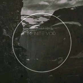 Infinite Void album cover