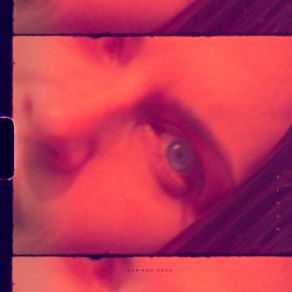 Bloom album cover