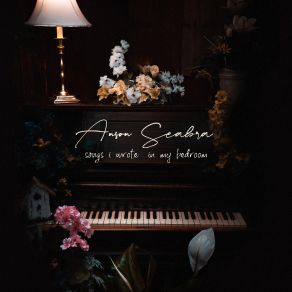 Songs I Wrote In My Bedroom album cover