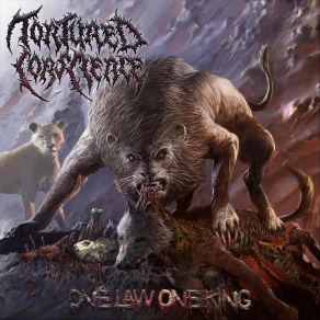 One Law One King album cover