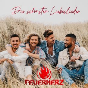 Die Schonsten Liebeslieder album cover