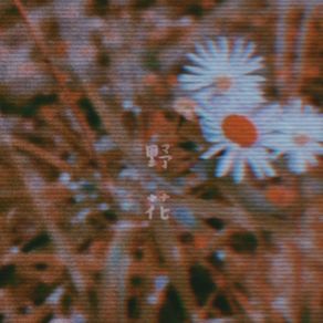 野花 album cover