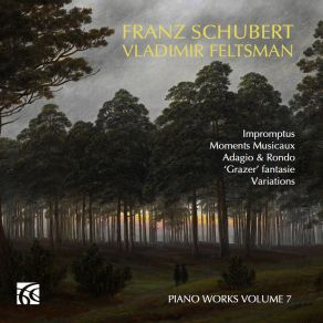 Schubert: Piano Works, Vol. 7 album cover