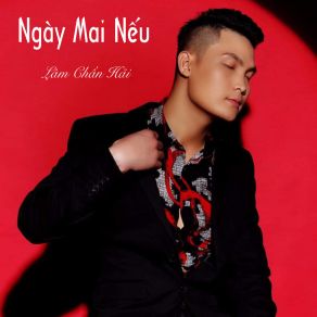 Ngày Mai Nếu album cover