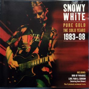 Pure Gold, The Solo Years 98 album cover