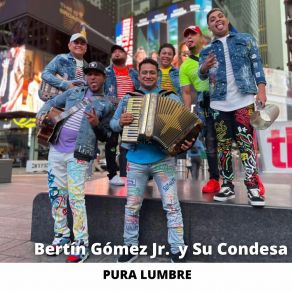 Pura Lumbre album cover