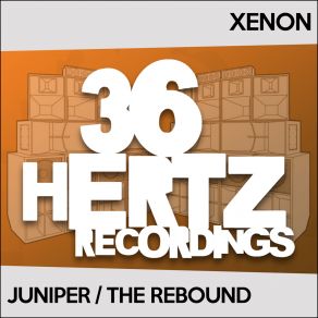 Juniper / The Rebound album cover