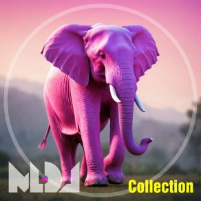 Сollection album cover