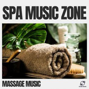 Spa Music Zone album cover