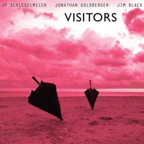 Visitors album cover