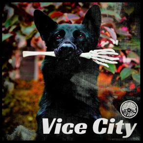 Vice City album cover