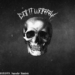 Don't Worry album cover
