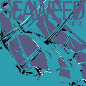 Seaweed album cover