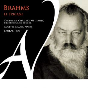 Brahms, Le Tzigane album cover