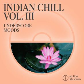 Indian Chill Vol. III album cover