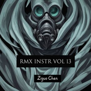 RMX INSTR VOL 13 album cover