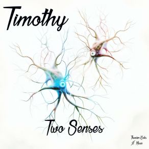 Two Senses album cover