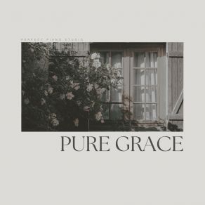 Pure Grace album cover