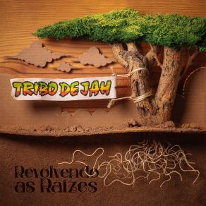 Revolvendo As Raizes album cover